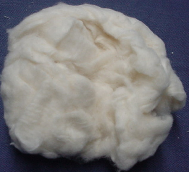 Cotton Waste