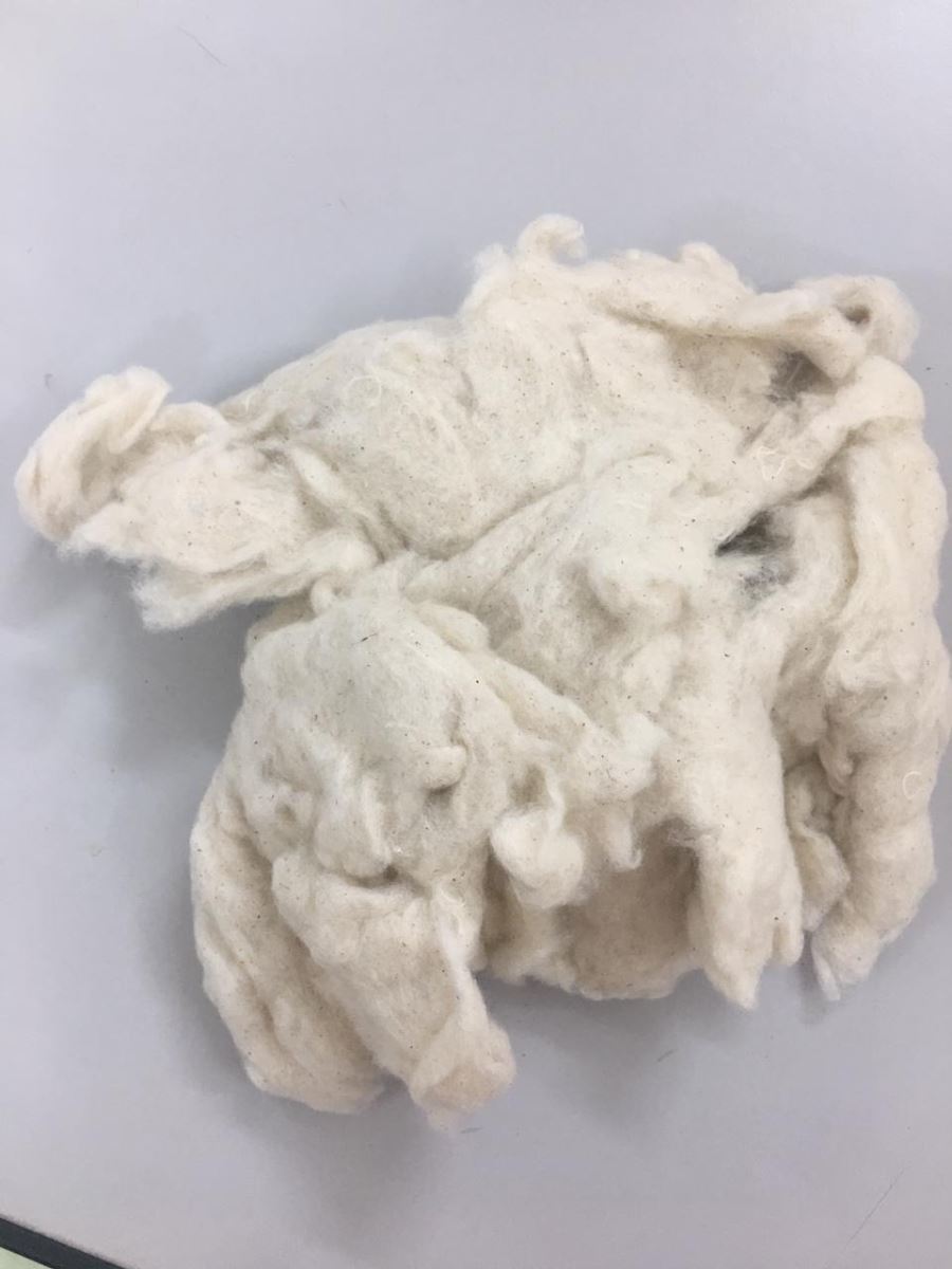 FLAT STRIPS / CARDFLY